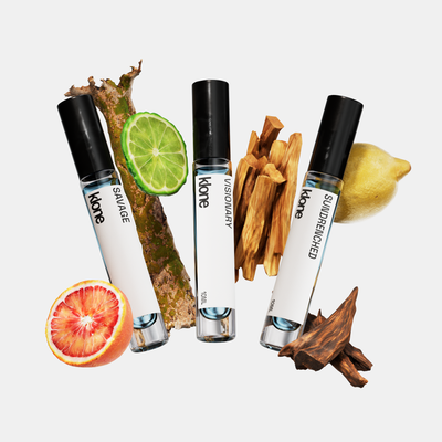Back to School Discovery Set